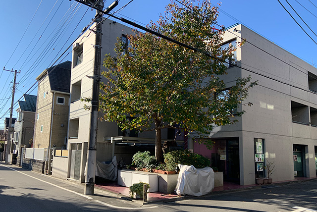 国立ステップス