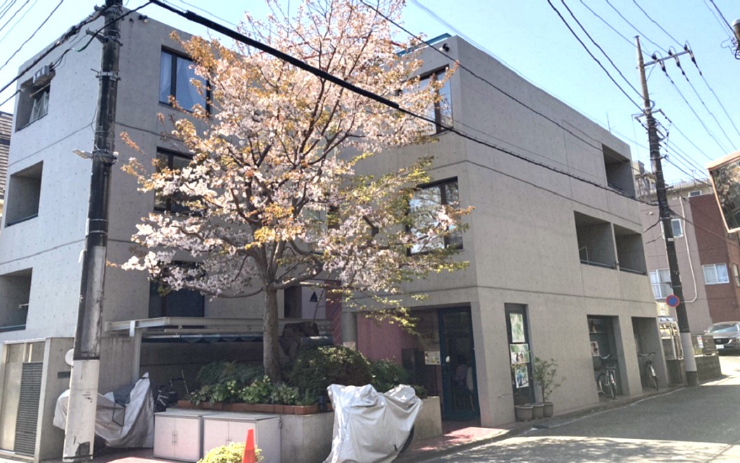 東京都国立市のカウンセリングオフィスフロローグの外観写真/桜の木