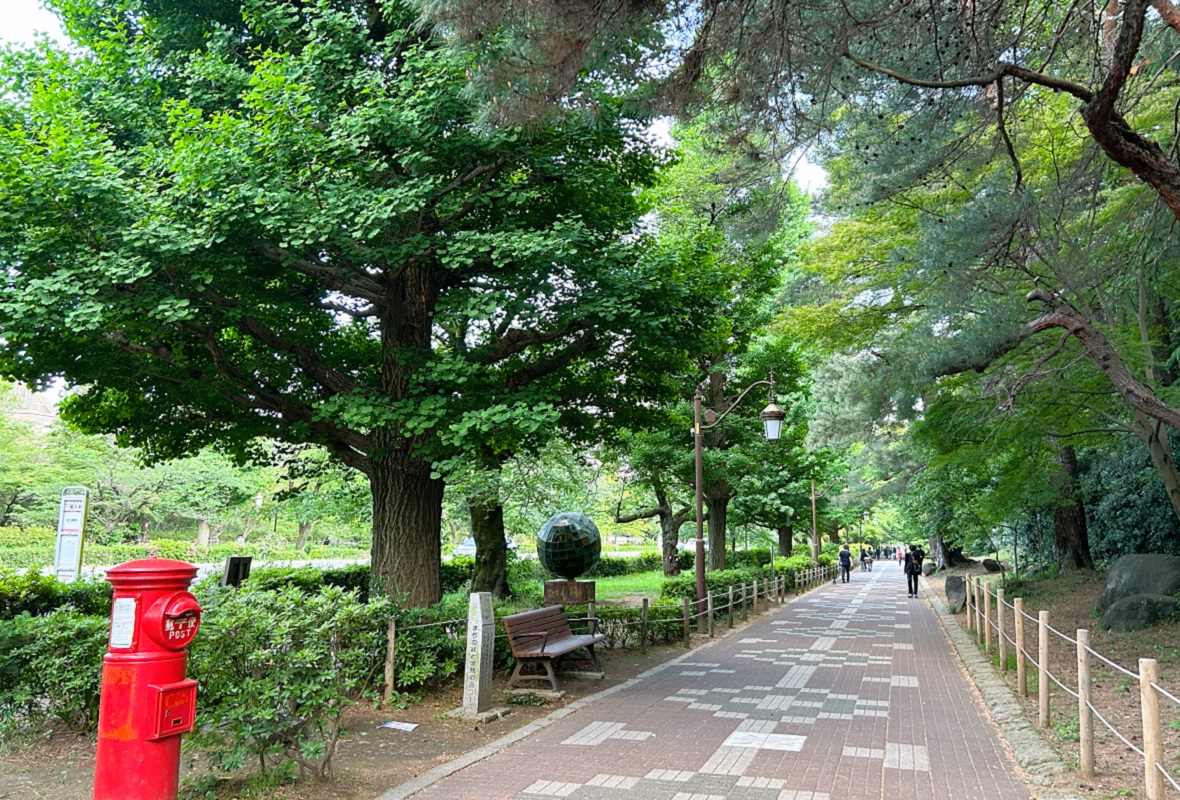 国立大学通りの新緑